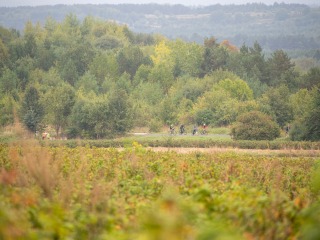 20 Gwiaździsty Rajd Rowerowy Wzgórze Polak