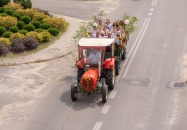 Dożynki Tereszpol 2024 Gmino-Parafialne 