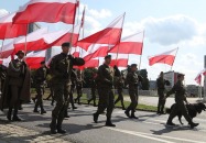 Święto Wojska Polskiego