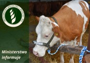 Informacje dla rolników- ubój zwierząt gospodarskich kopytnych poza rzeźnią