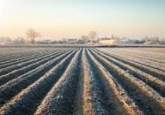 Wnioski o oszacowanie szkód - przymrozki 