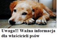 Ważna informacja dla właścicieli psów