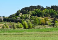 Wiosna w gminie Tereszpol