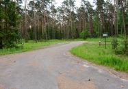 Lasy Państwowe - Margole