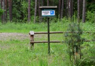 Lasy Państwowe - Margole