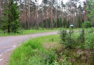 Lasy Państwowe - Margole