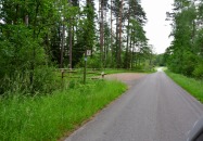 Lasy Państwowe - Margole