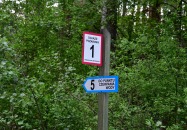 Lasy Państwowe - Margole