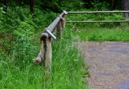 Lasy Państwowe - Margole