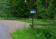 Lasy Państwowe - Margole