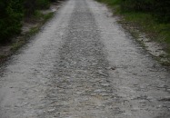 Lasy Państwowe - Tereszpol-Kukiełki