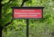 Lasy Państwowe - Tereszpol-Kukiełki