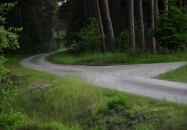 Lasy Państwowe - Tereszpol-Kukiełki