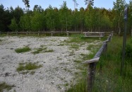 Lasy Państwowe - Tereszpol-Kukiełki