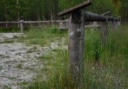 Lasy Państwowe - Tereszpol-Kukiełki