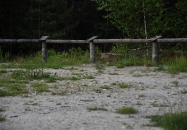 Lasy Państwowe - Tereszpol-Kukiełki