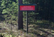 Miejsce Obsługi Pojazdów (MOP) na terenie Lasów Państwowych	