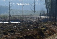 Miejsce Obsługi Pojazdów (MOP) na terenie Lasów Państwowych	