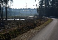 Miejsce Obsługi Pojazdów (MOP) na terenie Lasów Państwowych	