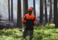 2017 - Pożar Lasów Państwowych
