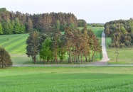 MOR - Panasówka (gmina Tereszpol)