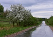 Polski Ład - Tereszpol-Zaorenda